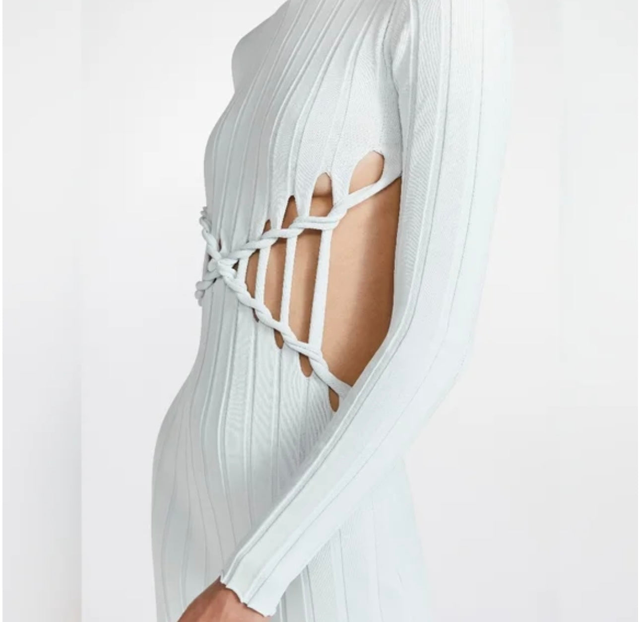 DION LEE X-braid Reversible Dress